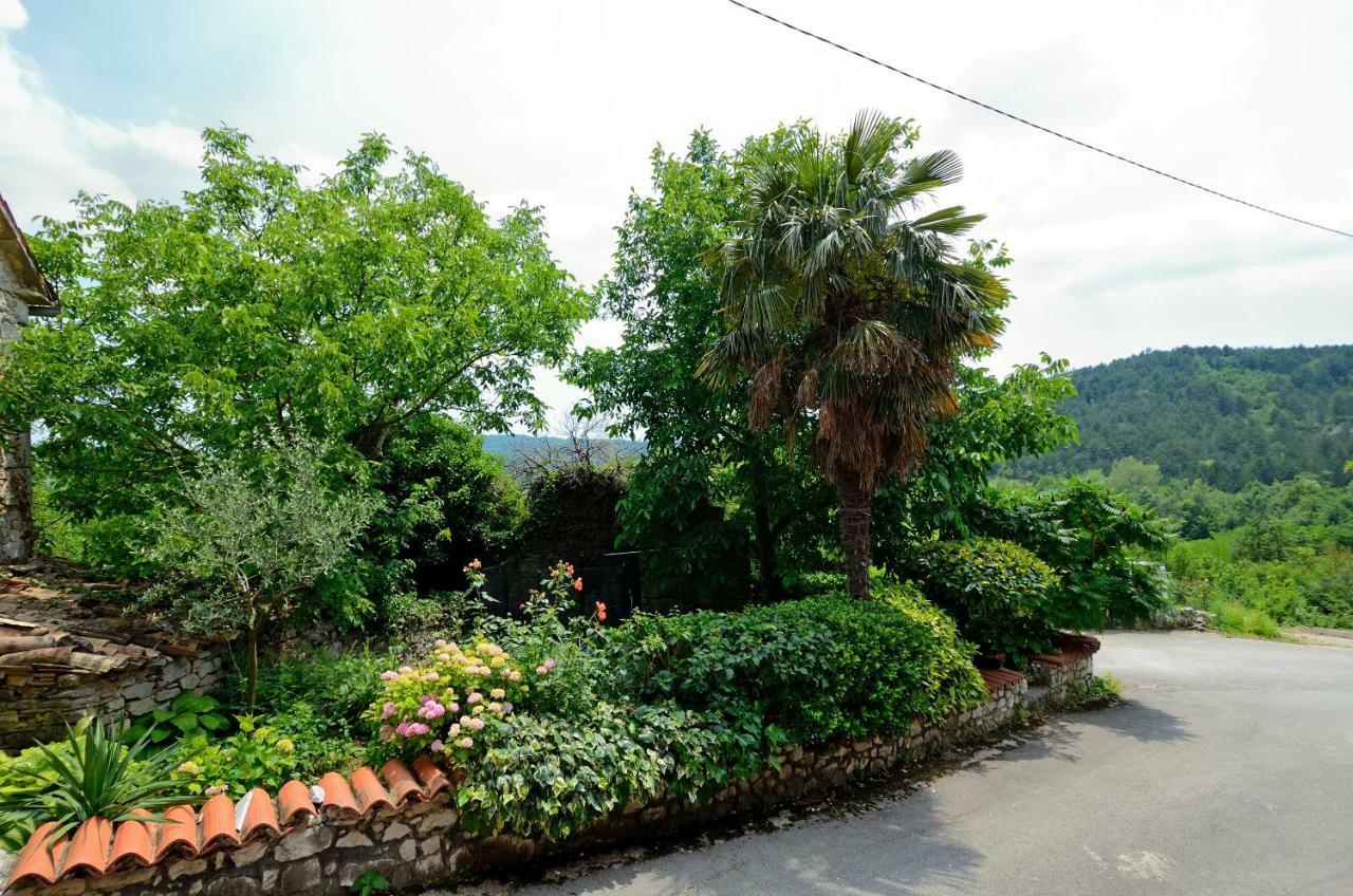 Appartamento Cassa Jakov *